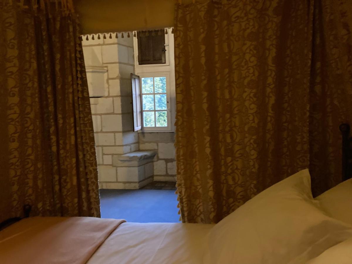 Chateau De Re Le Petit-Pressigny Экстерьер фото